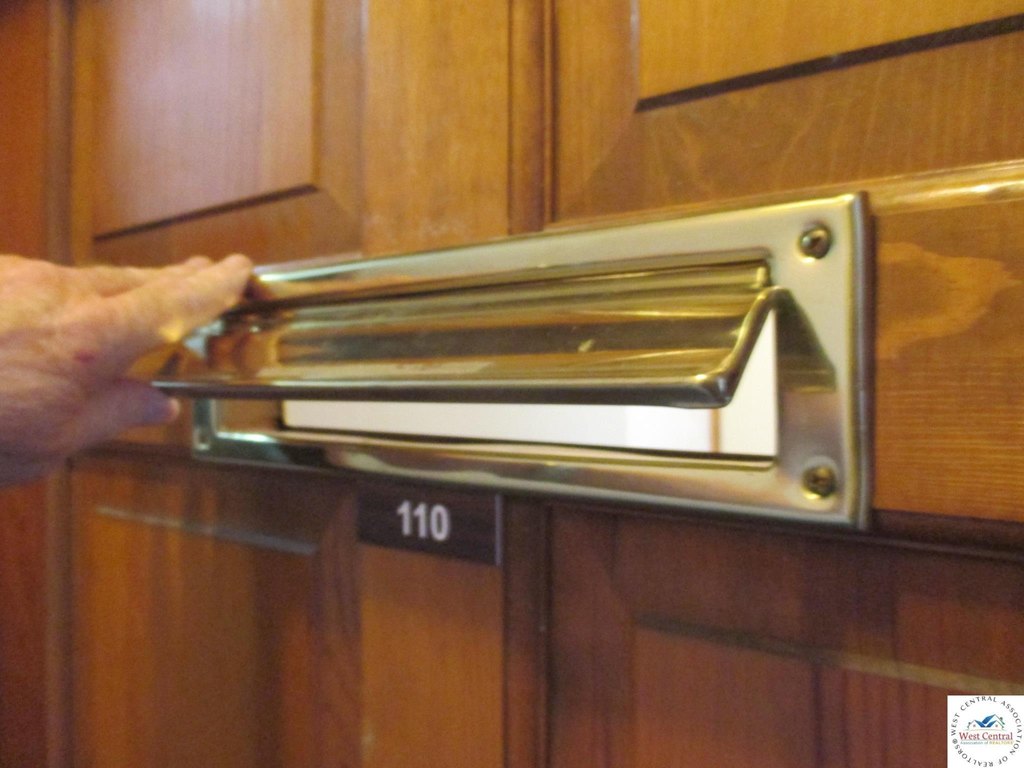 Picture 7