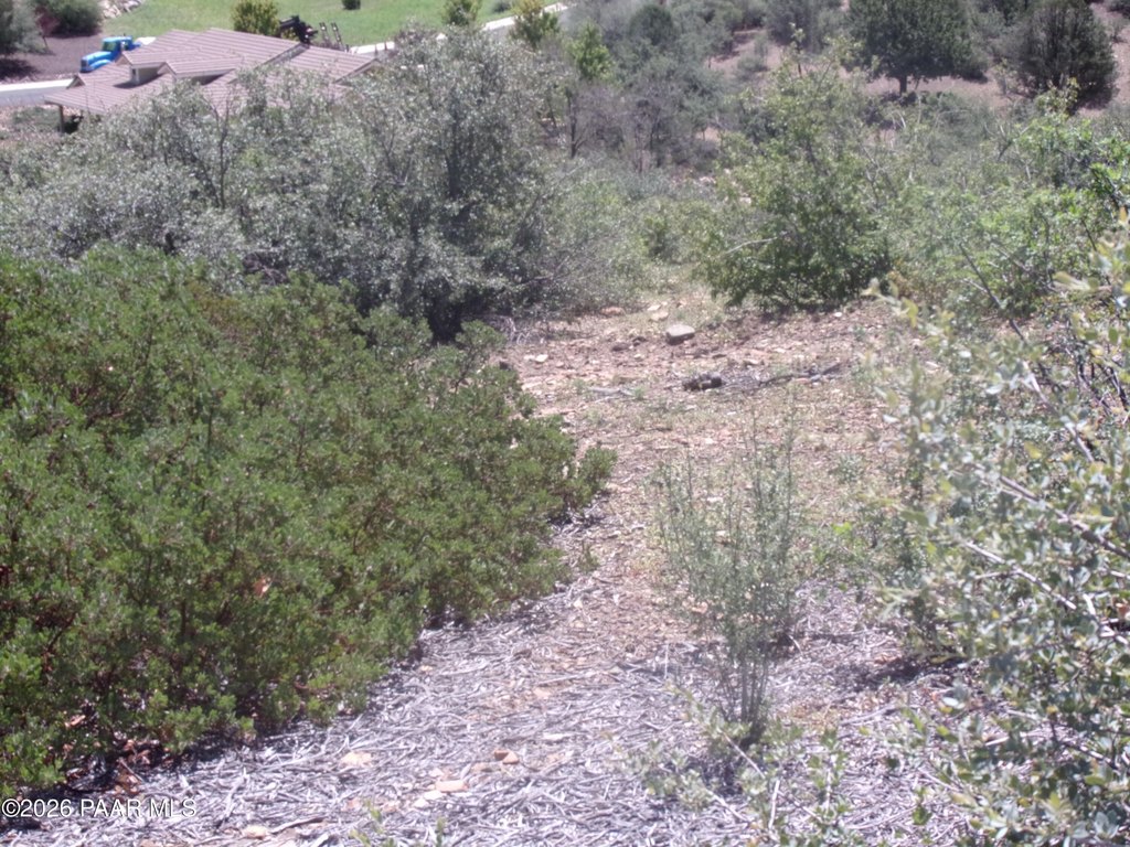 Picture 12