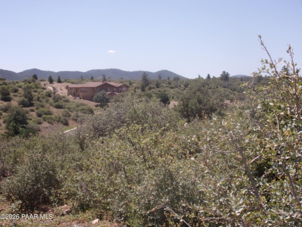 Picture 11