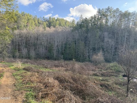 Unrestricted Land Near French Broad