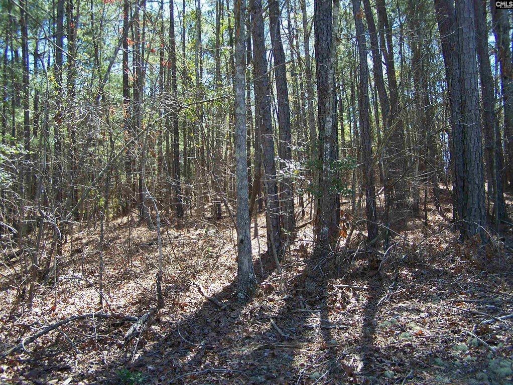 Picture 11