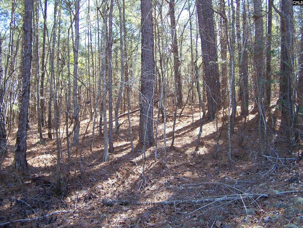Picture 12