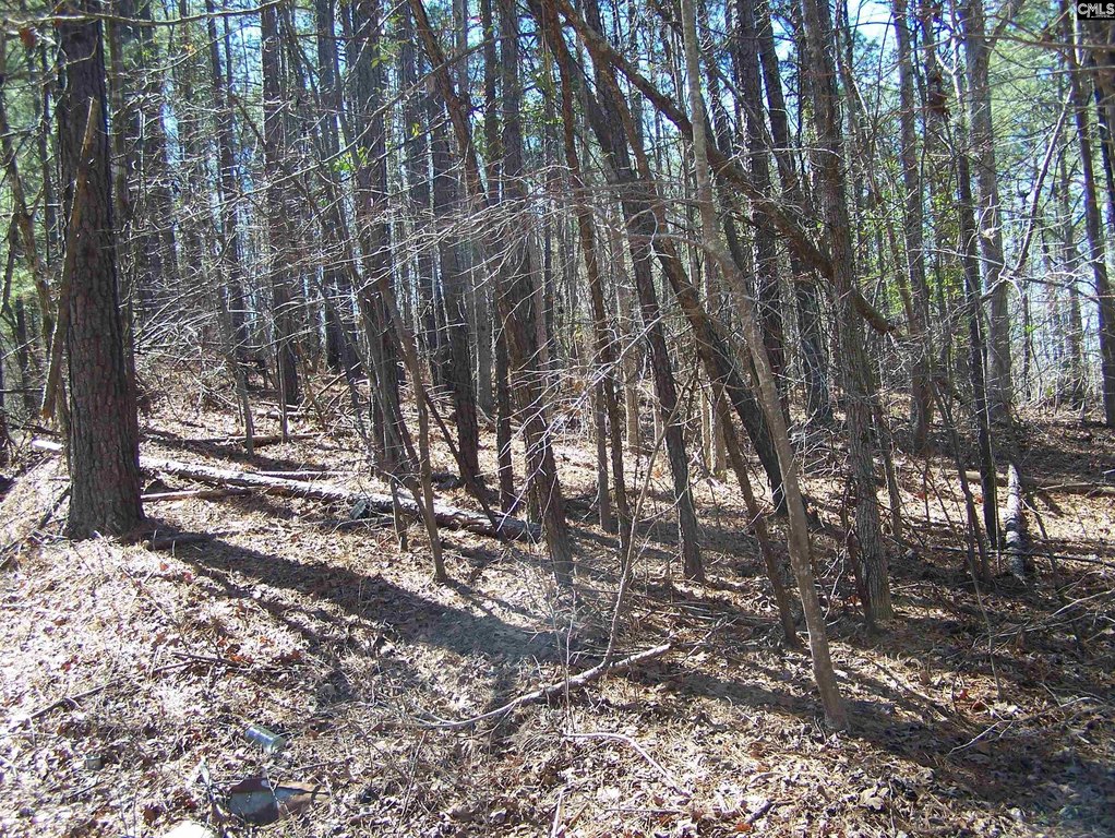 Picture 8