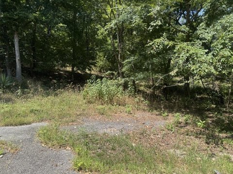 LAND - Holiday Island, AR