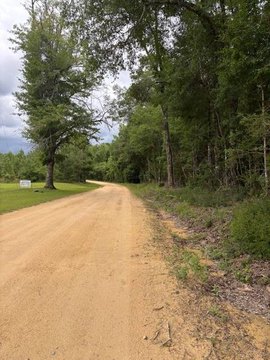 Acreage with Hardwood Timber and Stream