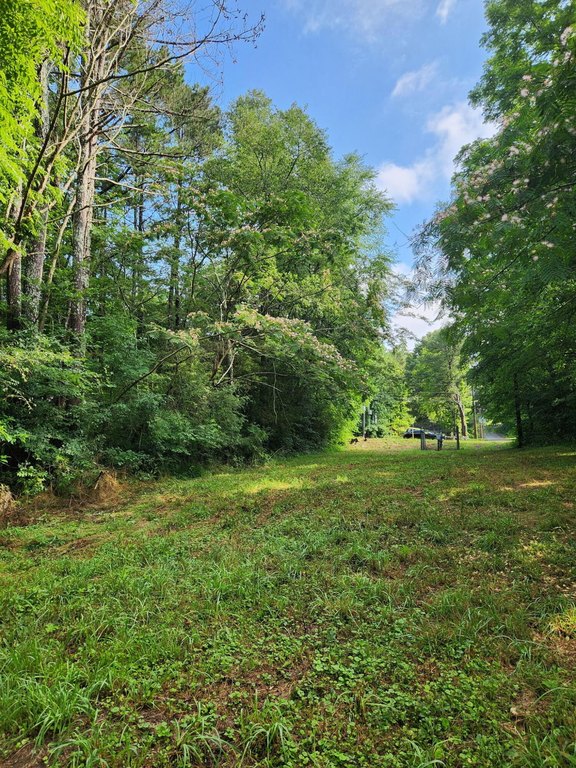 Picture 20