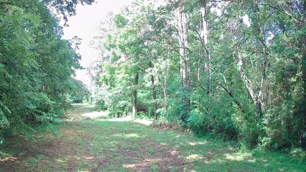 Picture 15