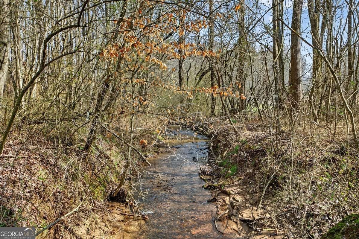 Ellijay Land with Creek