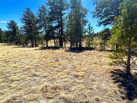 Land, Buena Vista, CO
