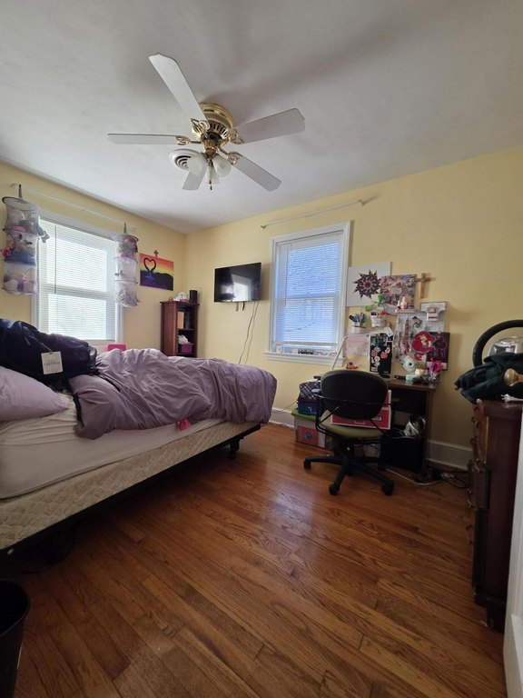 Picture 15