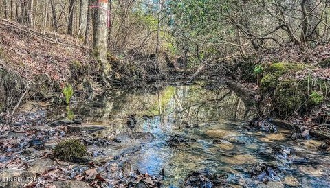 12.5 Acres of Tennessee Land