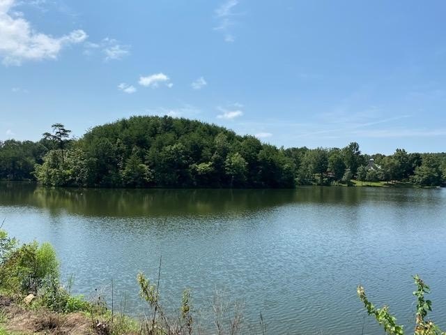 Clanton, AL Vacant Land