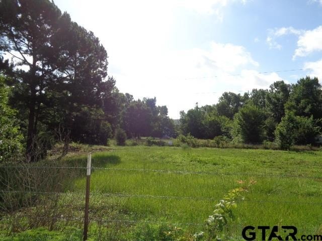 Picture 5