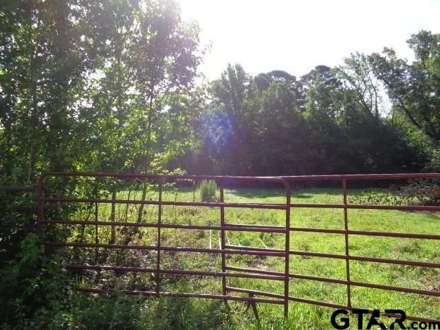Picture 6