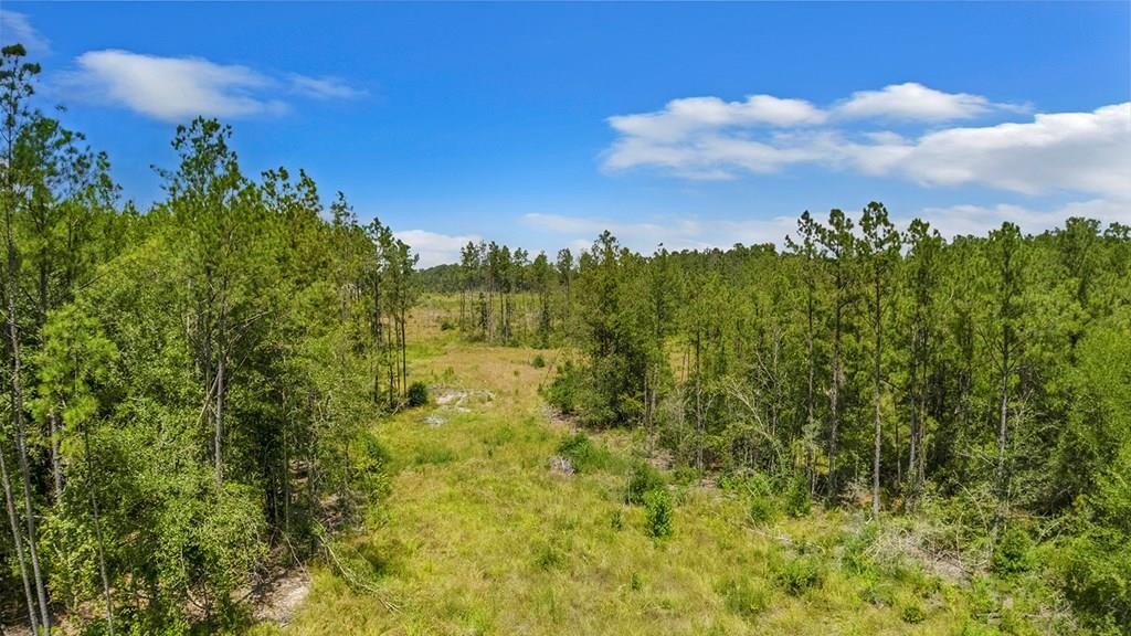 Unrestricted Land Near Lake Sam