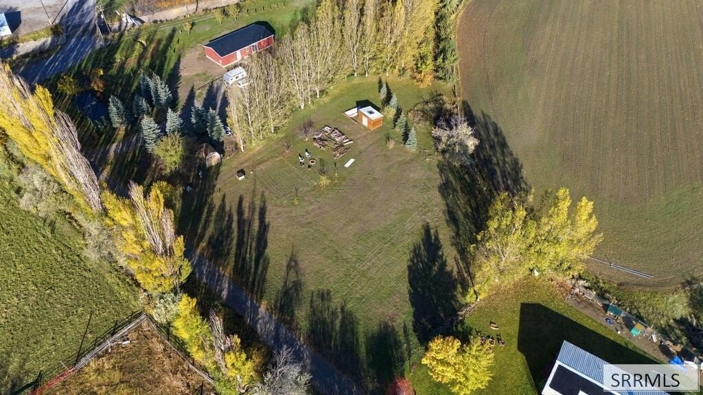 Picture 2