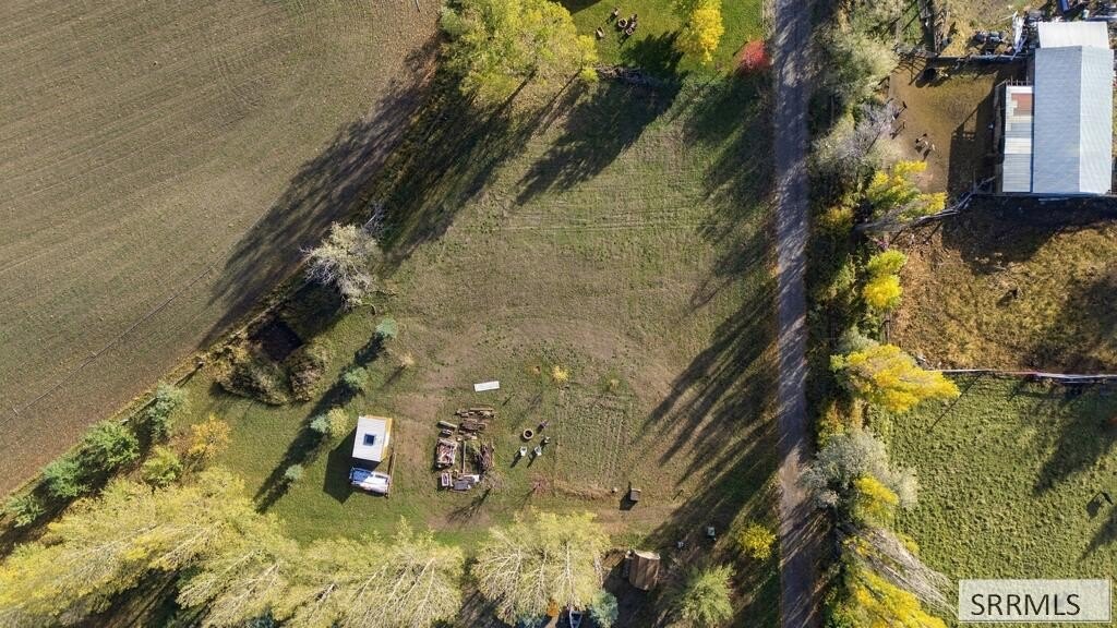 Picture 6