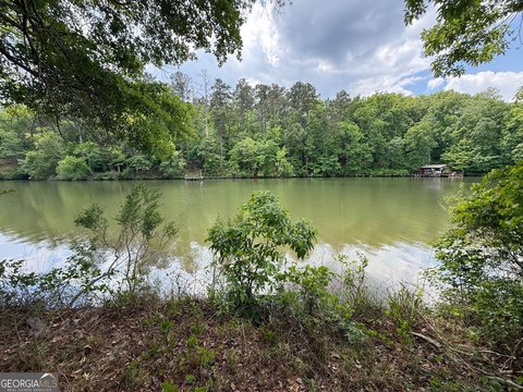 Lake Sinclair Waterfront Lot Opportunity