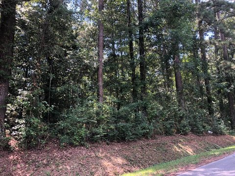 Residential Lot in Heatherwood Subdivision
