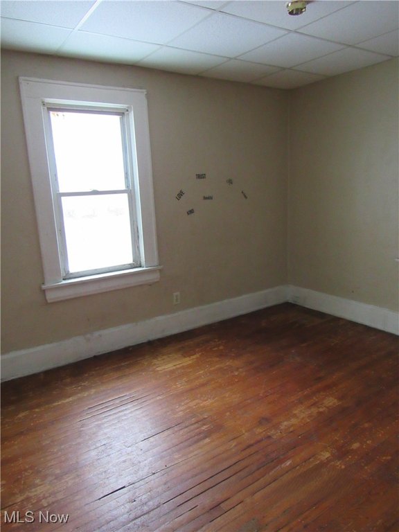 Picture 11