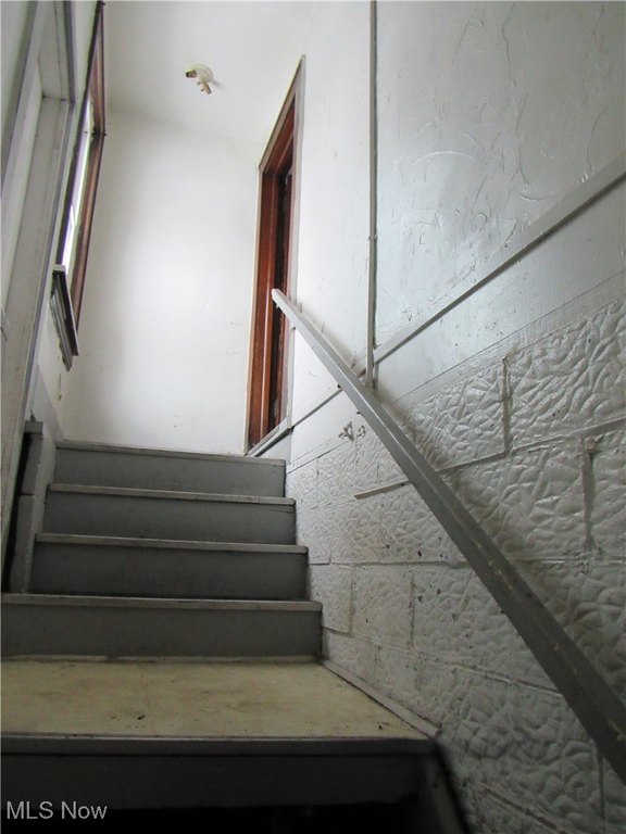 Picture 21
