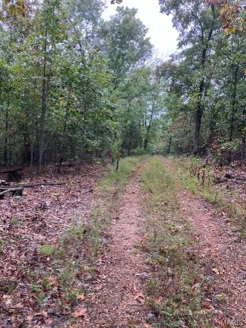 Ozark Acreage with Creek Access