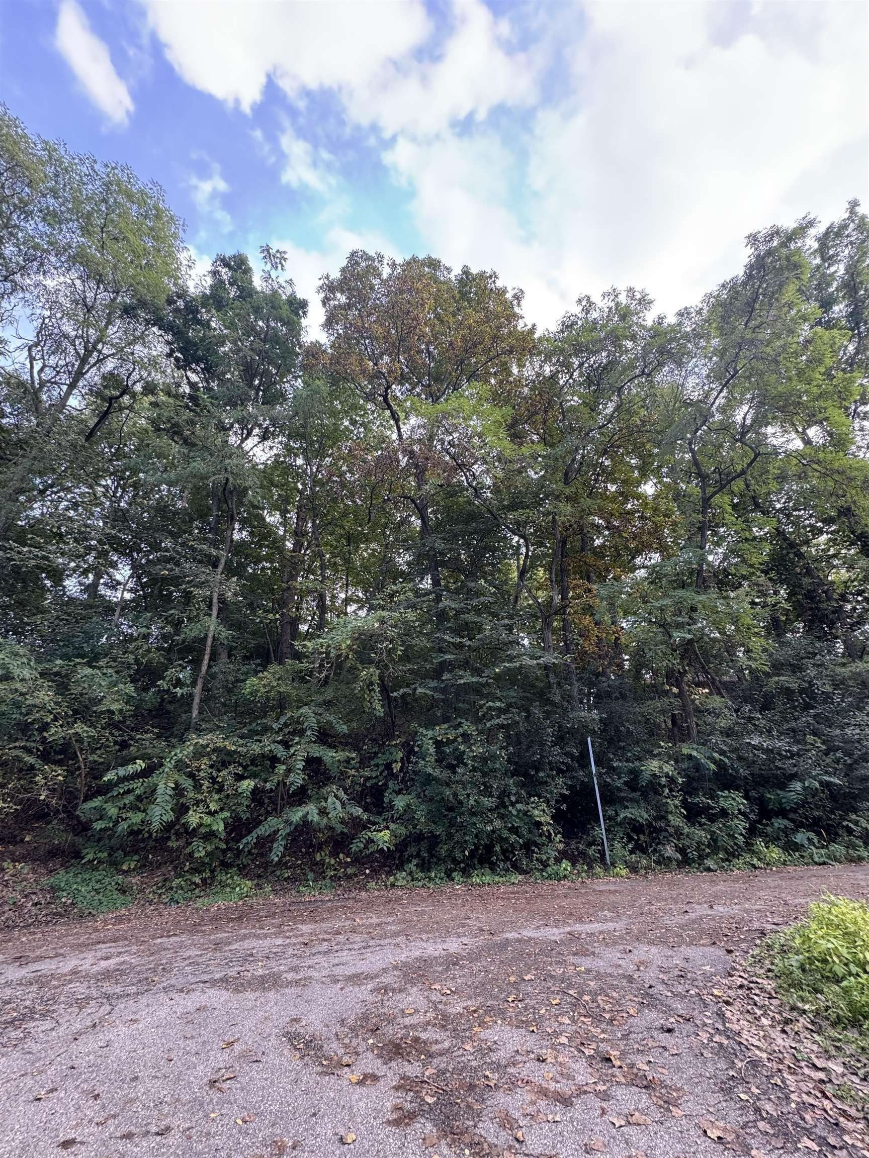 Residential Lot in Wausaukee, WI