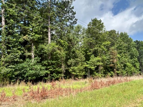 LAND - Magnolia, AR