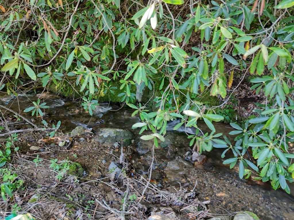 Picture 18