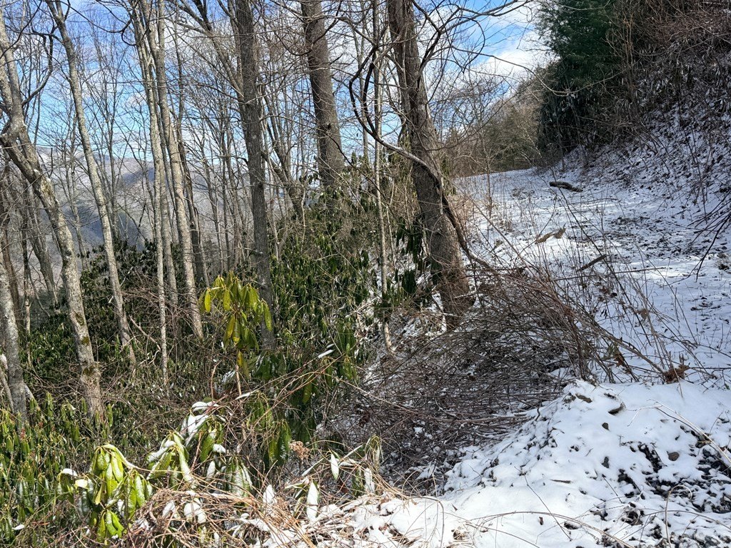 Picture 5