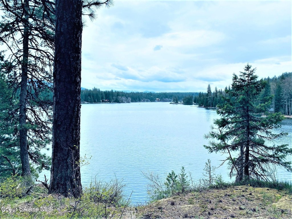 Picture 15