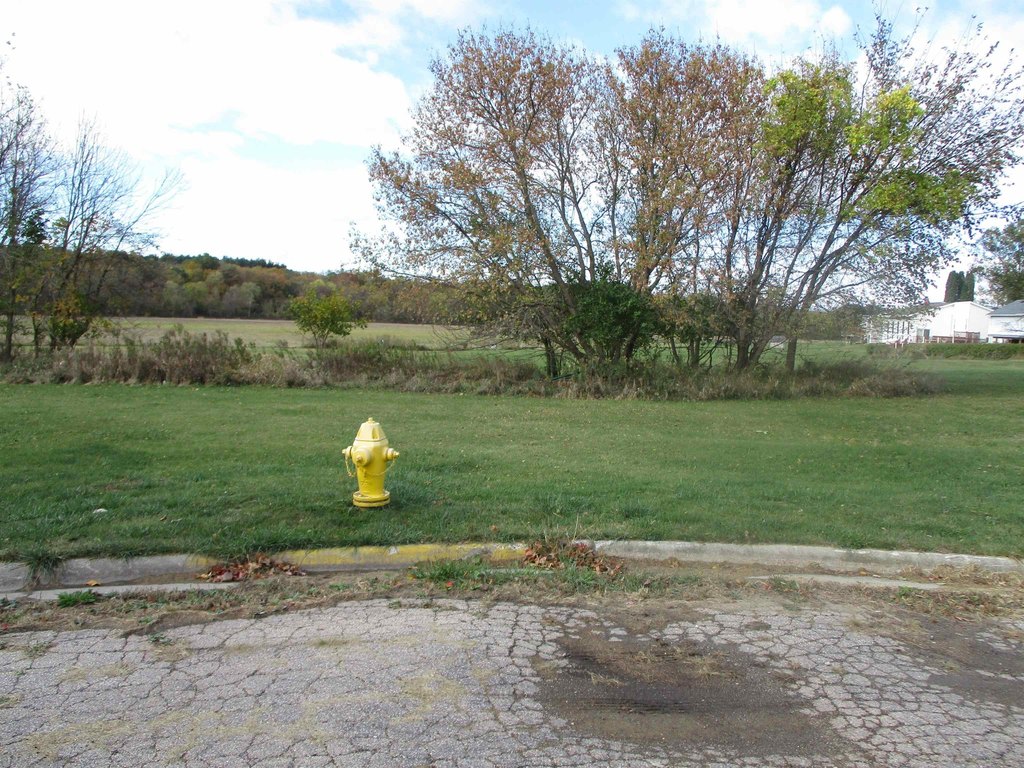 Picture 4