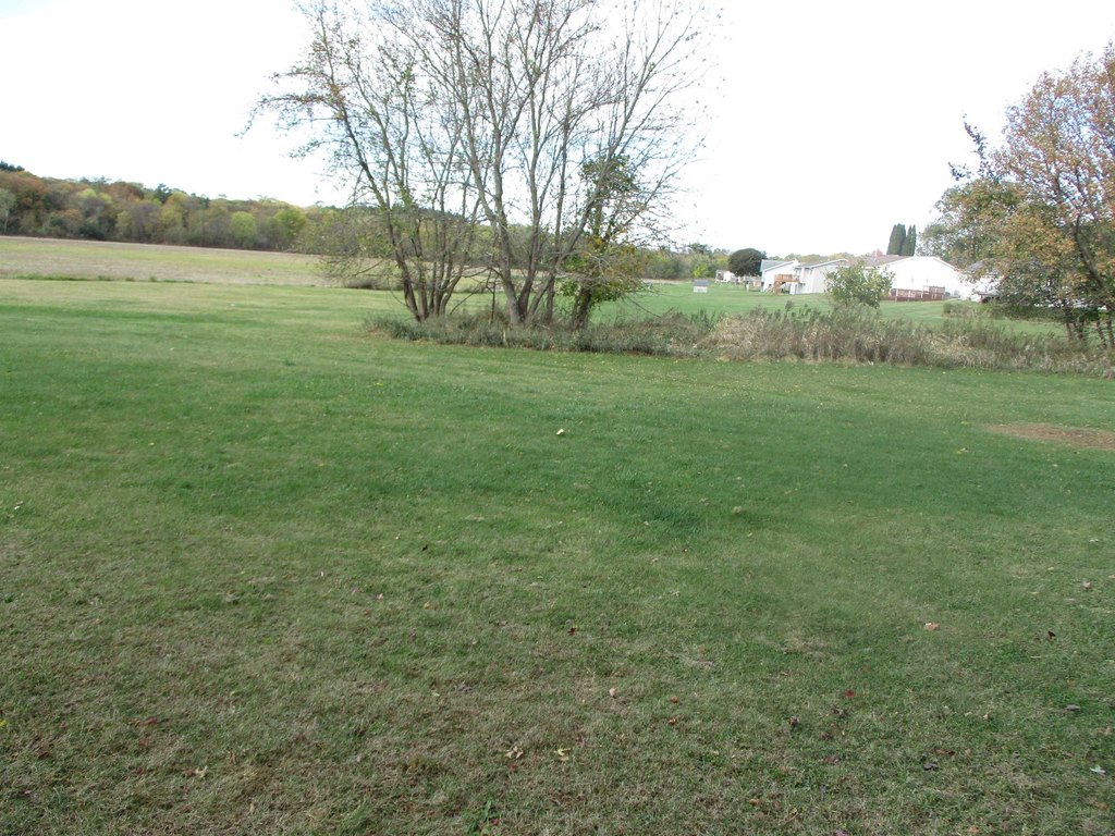 Picture 6