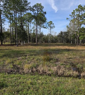 Bay View Lot Opportunity