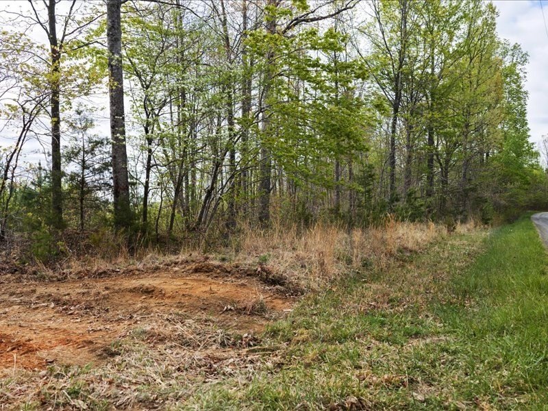Picture 15