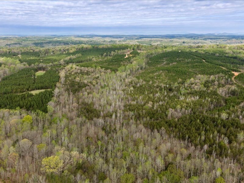 Picture 41