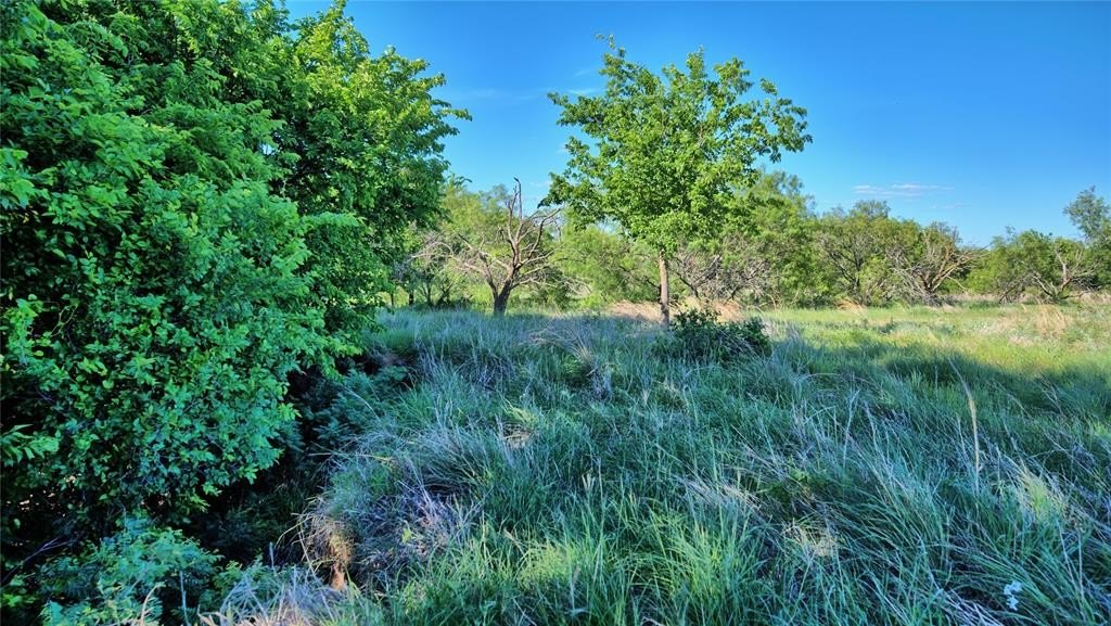 Picture 20