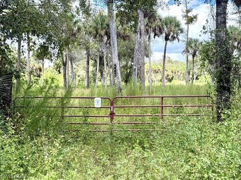 Land, NAPLES, FL
