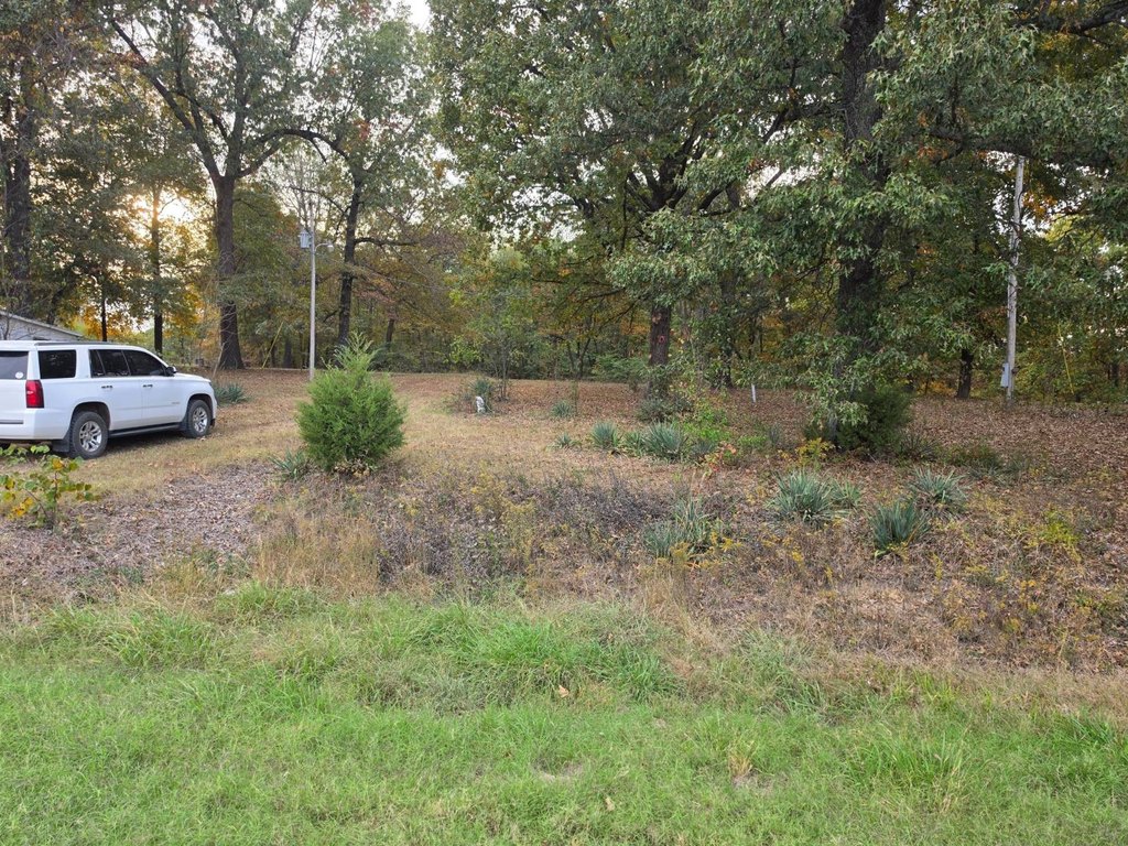 Picture 2