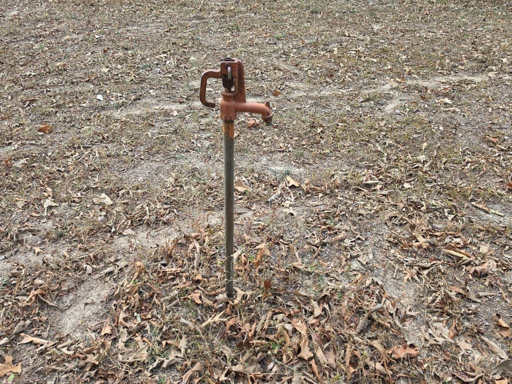 Picture 11