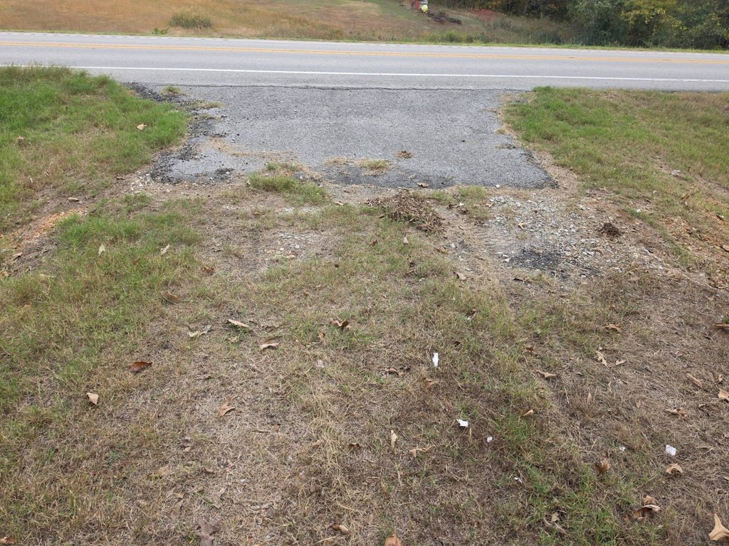 Picture 14