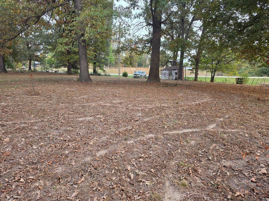 Picture 6
