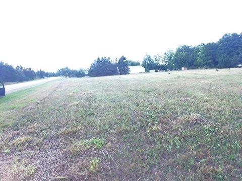 VANDERBILT, MI