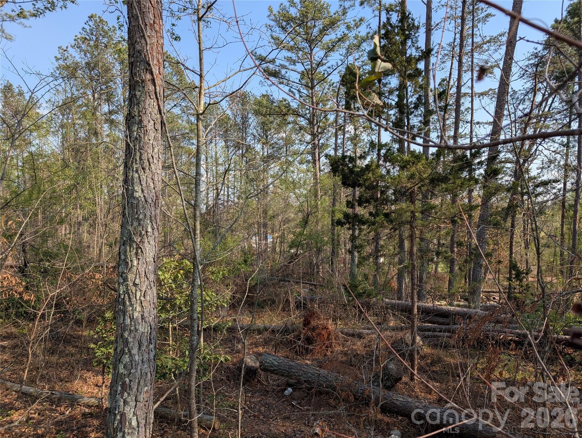 Wooded Lot Near Forest City