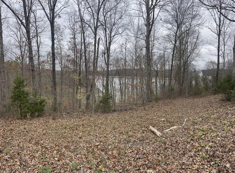 Lake View Lot in Monticello
