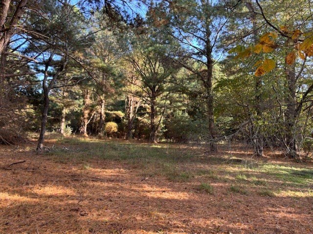 Picture 13