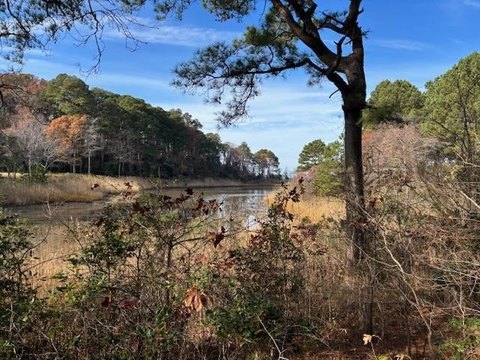Waterfront Land in Cape Charles