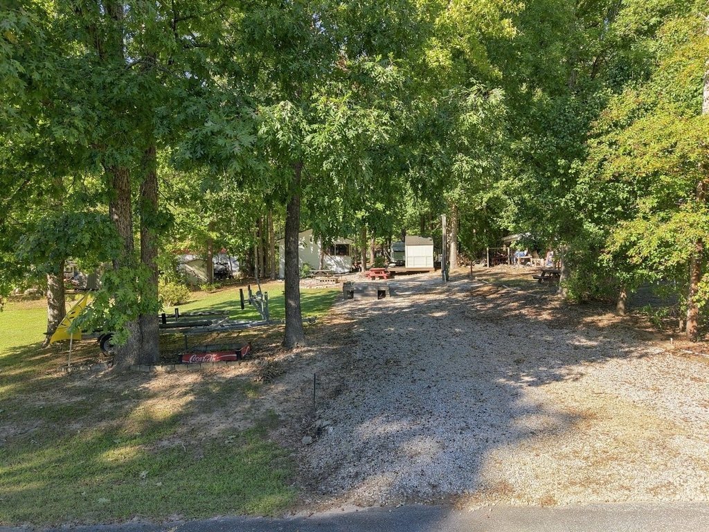 Picture 29