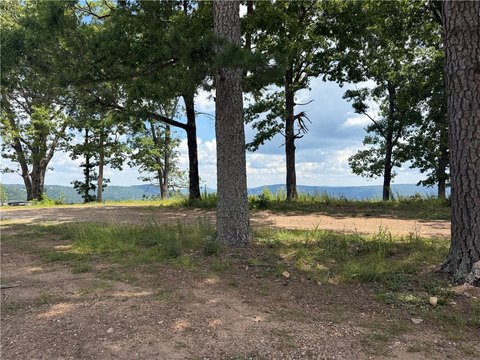 LAND - Jasper, AR