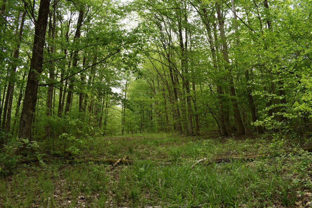 Picture 10
